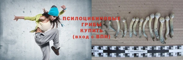 первитин Гусев
