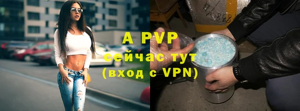 кристаллы Гусь-Хрустальный