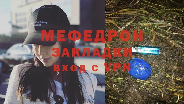 шишки Гусиноозёрск
