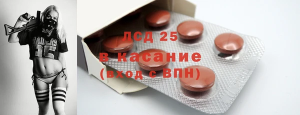 шишки Гусиноозёрск