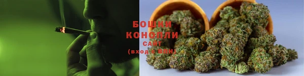 шишки Гусиноозёрск