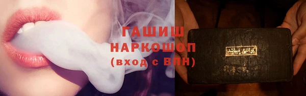 шишки Гусиноозёрск