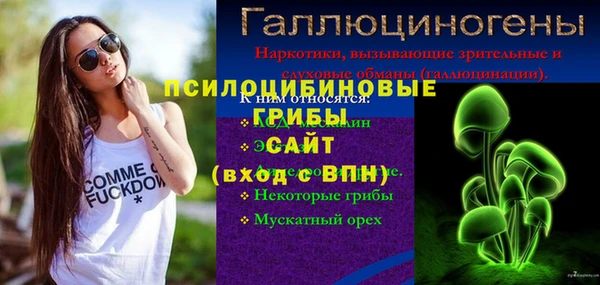 первитин Гусев