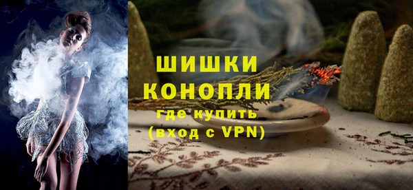 шишки Гусиноозёрск