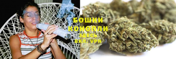 шишки Гусиноозёрск