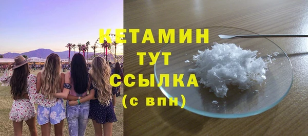 шишки Гусиноозёрск