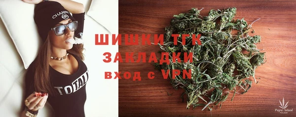 шишки Гусиноозёрск