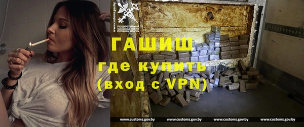 шишки Гусиноозёрск