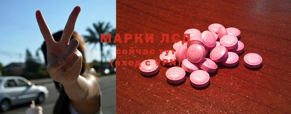 шишки Гусиноозёрск