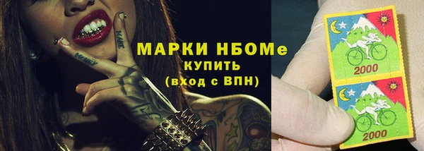 шишки Гусиноозёрск