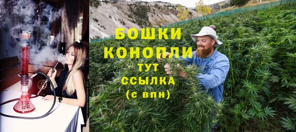 кристаллы Гусь-Хрустальный