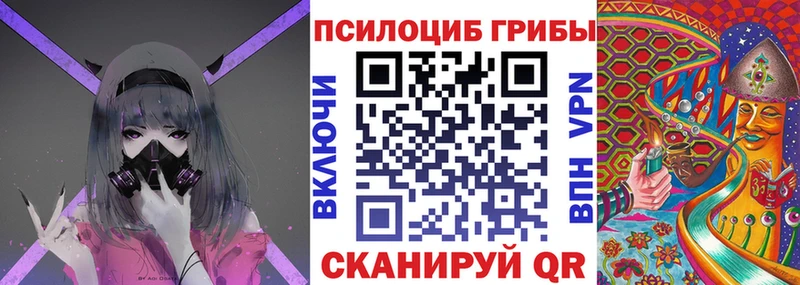Галлюциногенные грибы прущие грибы  Купить закладки  Сурск 